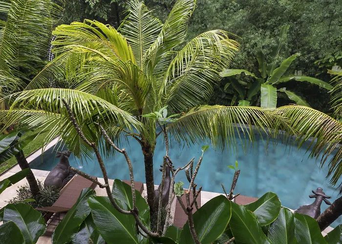 Jungle Haven - Formerly Desak Putera Guest house