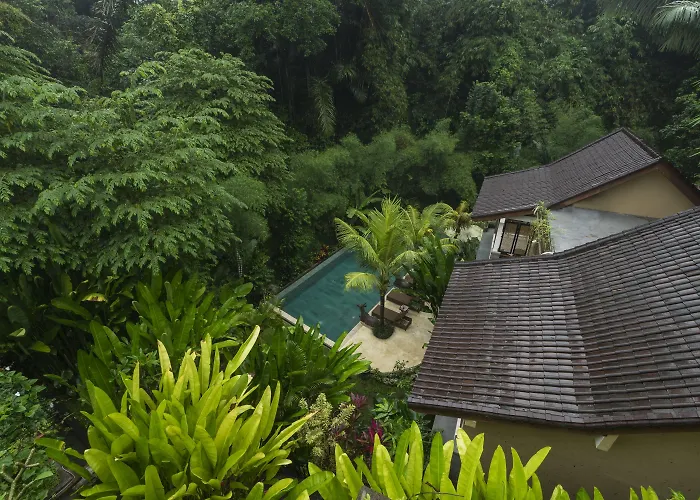 Jungle Haven - Formerly Desak Putera
