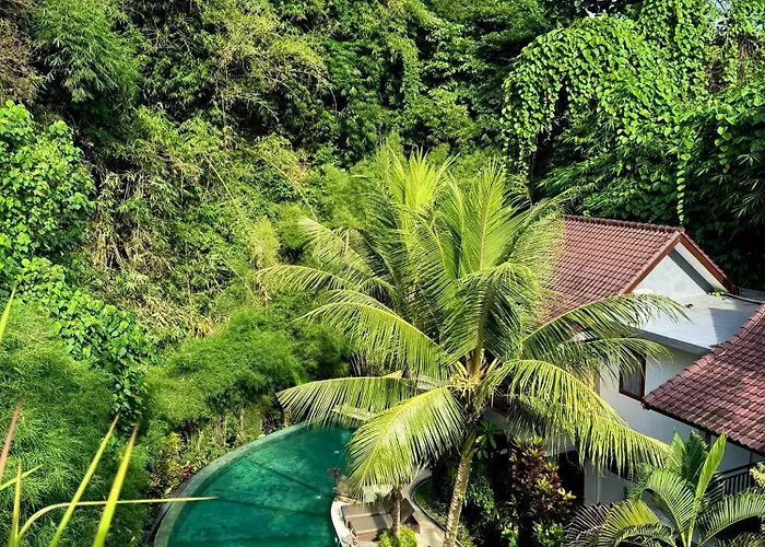 Jungle Haven - Formerly Desak Putera